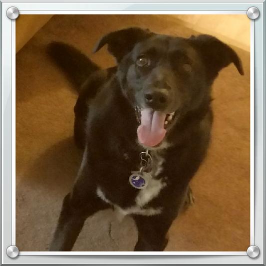 How can I not get her favorite food? Look at that sweet face!