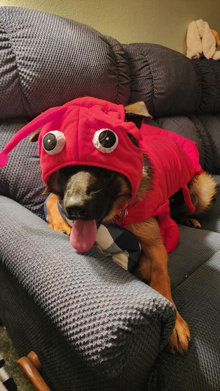 She did eventually grow into the hat