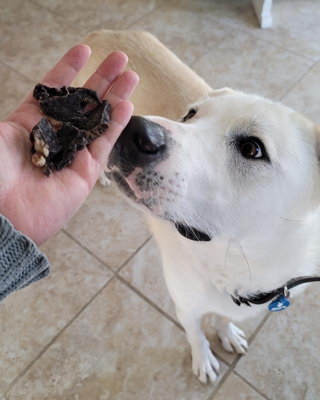 First impression: Yes Please