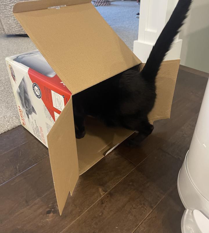 Box doubles as a fun cat toy!!