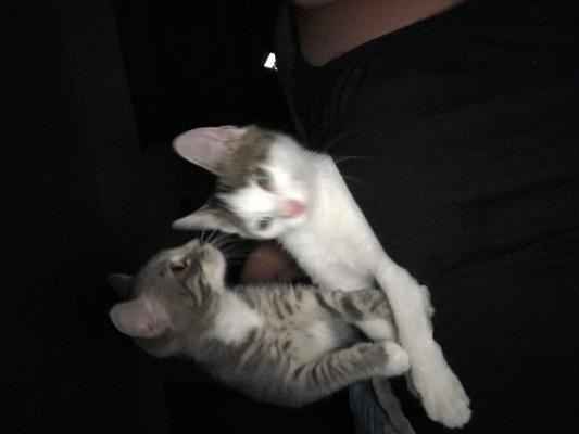 Jughead aka jugs and Archie