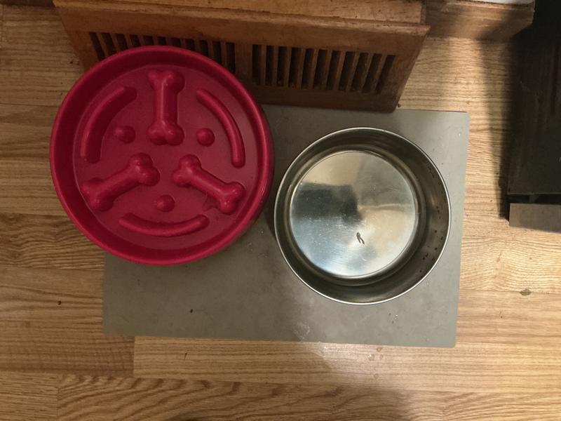 Water dish and slow feeder