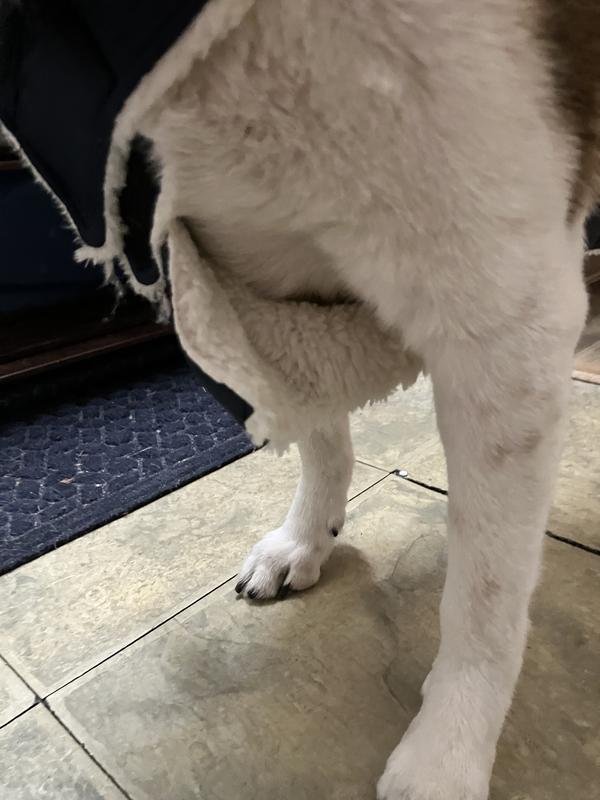 A flap of material that isn’t secured in place.