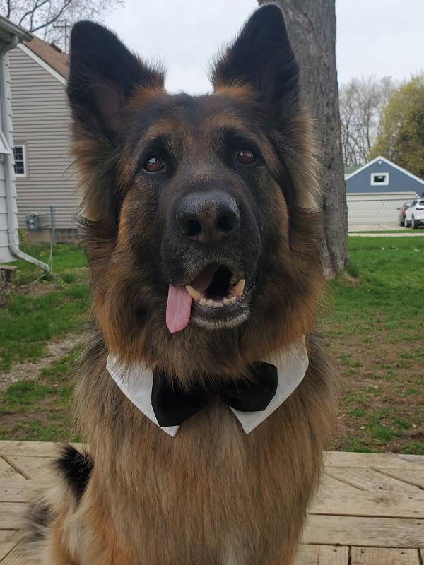 The extra most handsomest boy.