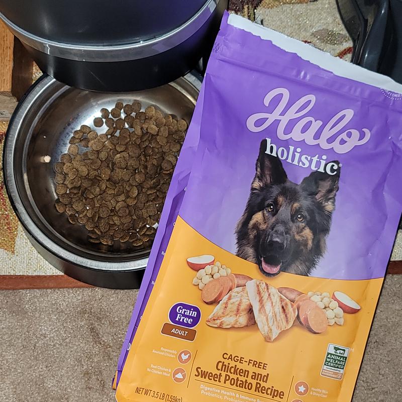 Halo Holistic Complete Digestive Health Grain-Free Chicken & Sweet Potato Dog Food Recipe Small Breed Dry Dog Food