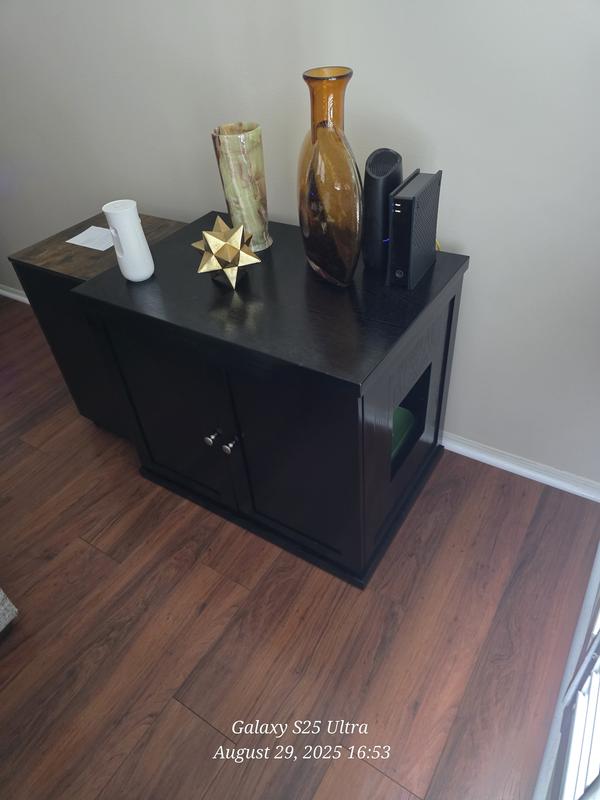 Voila. The very awesome litter box cabinet!