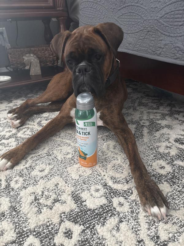 Before going to the beach.