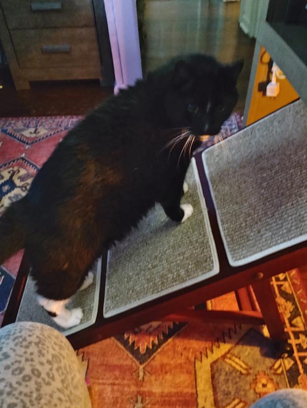 Rhombus on the ramp!