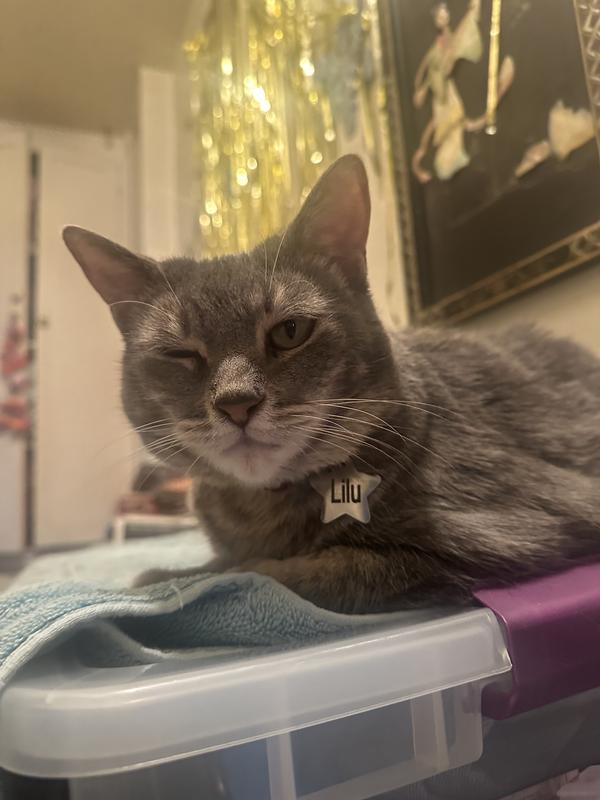 She gives it a 😉👍