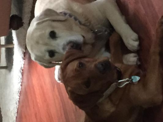 Tanner and baby Cali