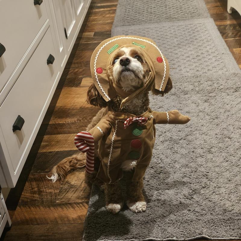 Frisco Front Walking Gingerbread Dog & Cat Costume
