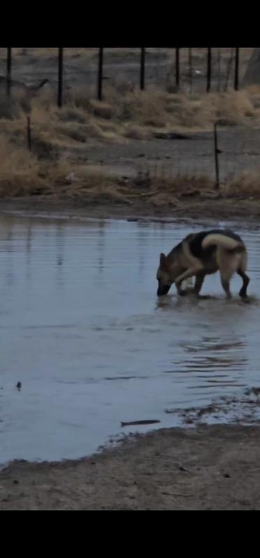 I know its not meant to float haha but he was determined to see for himself.