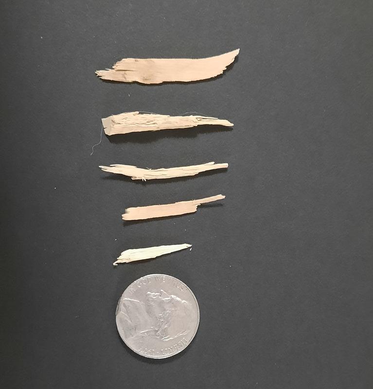 splinters with nickel for scale
