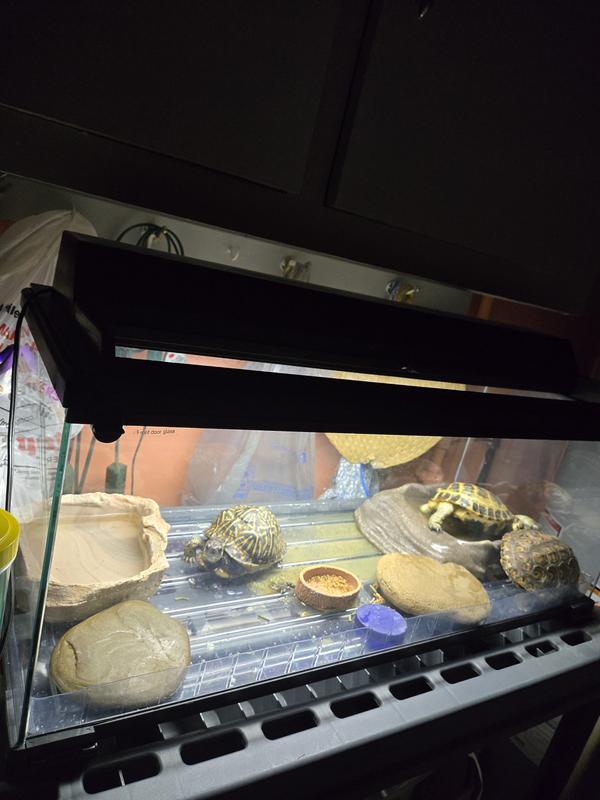 Ready to easily clean now!