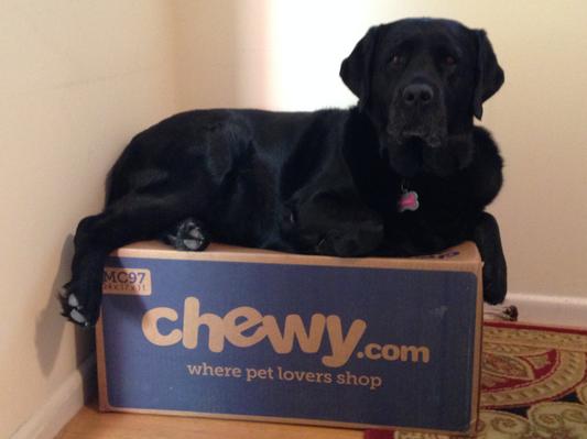 Chewy fromm dog outlet food