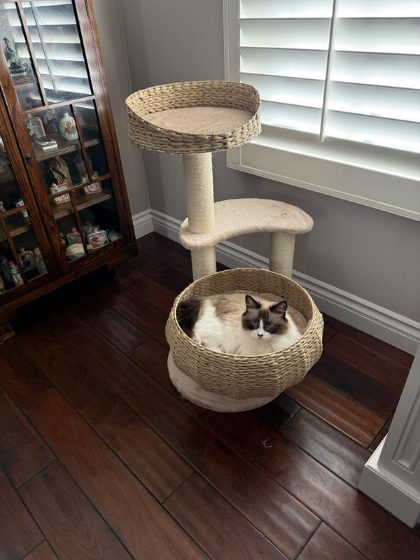 Afternoon nap!