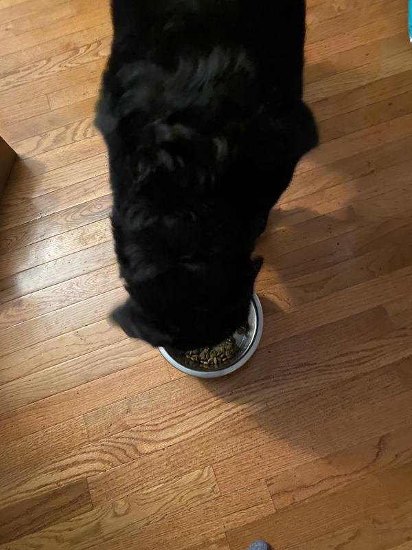 Telly loves meal time