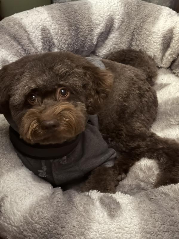 Perfect size and comfy!