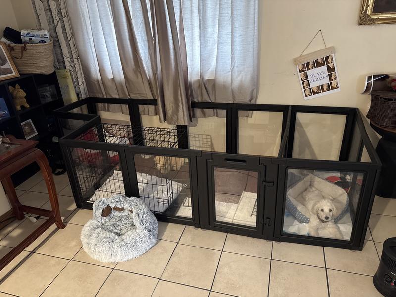 Blaze’s room. Blaze’s space!