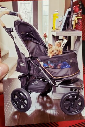 Pet gear at3 dog cheap stroller