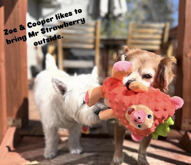 All dogs in my home enjoy Strawberry Pig