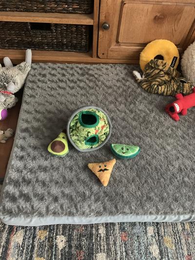A favorite toy of my pack!!! :)  <3