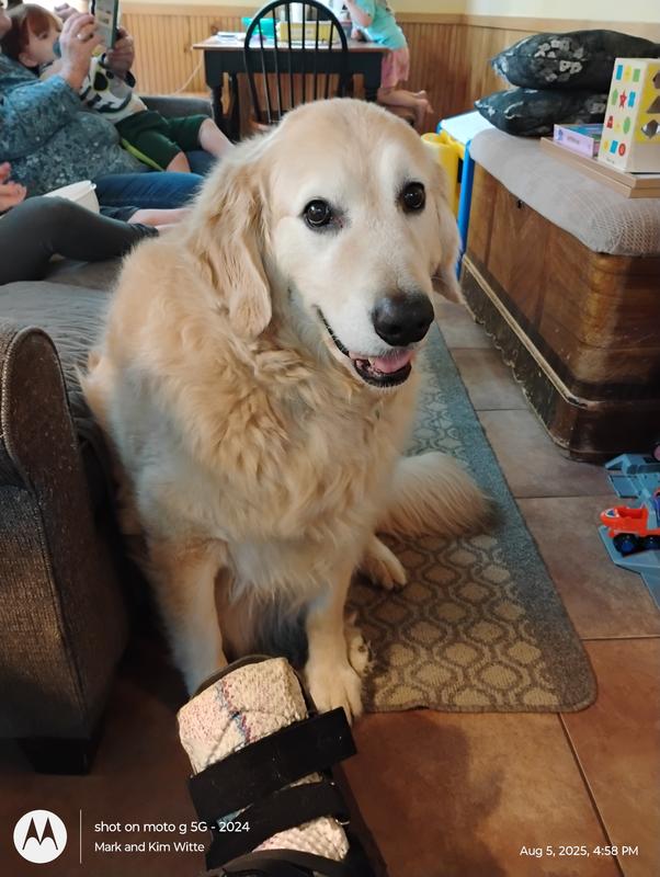 Bradley our "little boy"