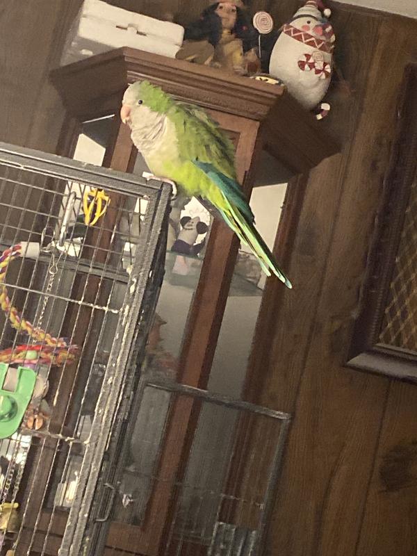 Joey says thank you!!