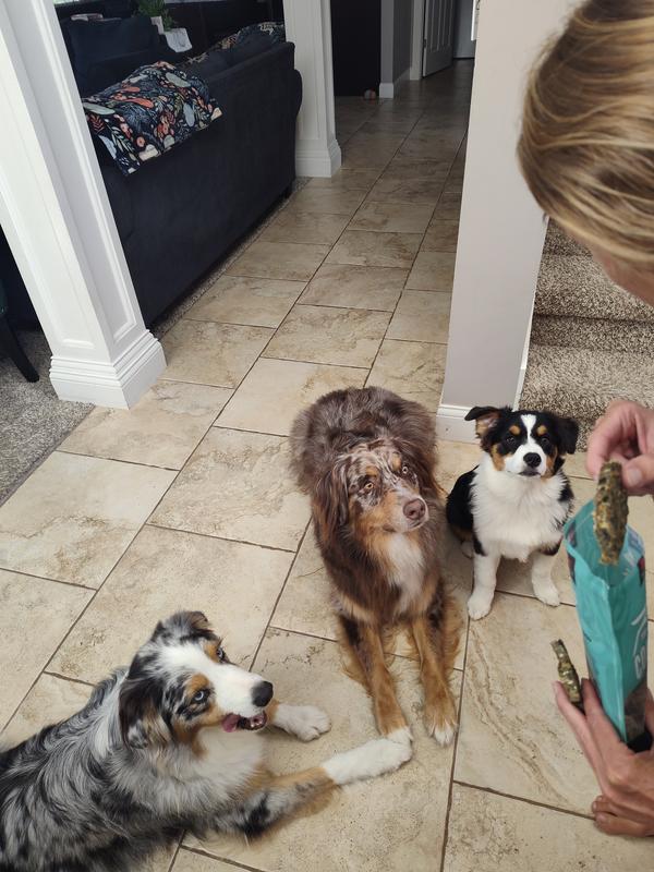 Everyone comes running