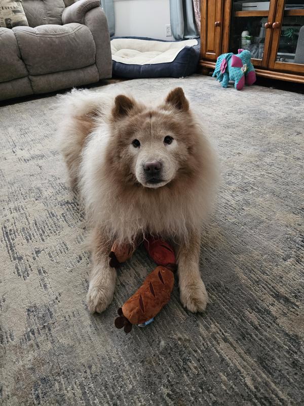 My little "grillmaster"