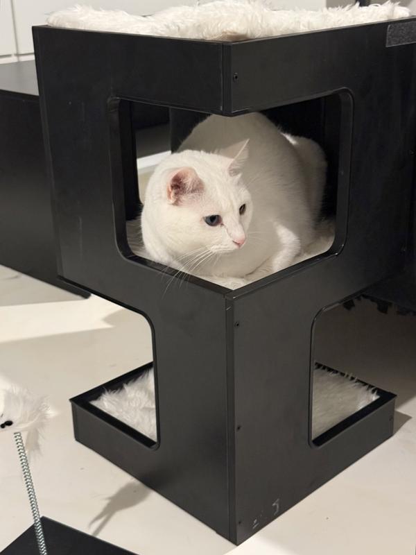 SAM'S PETS Escher 23.5-in Faux Fur Cat Tree & Condo, White - Chewy.com