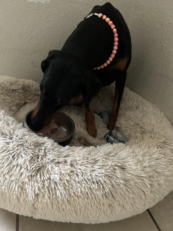 She liked it so much she didn’t even change positions 😂