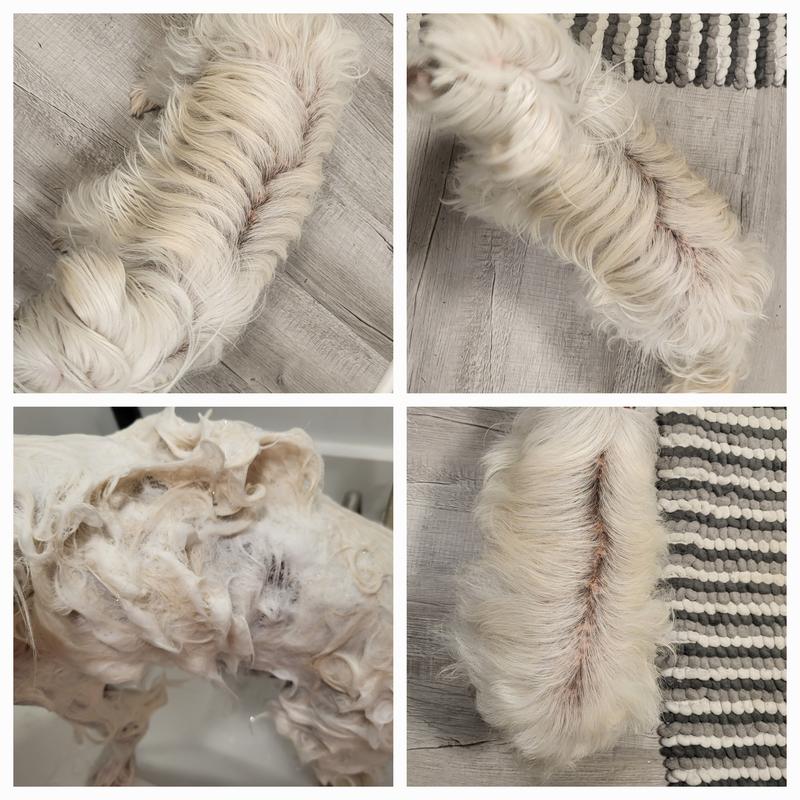 Before, during and after.