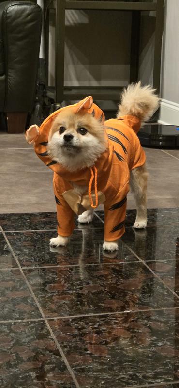 Hauss....the silly tiger