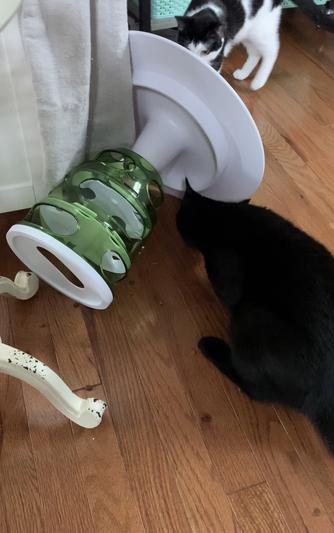 Catit Senses 2.0 Food Tree  Cat Treat & Food Dispenser Toy - The Pet  Beastro