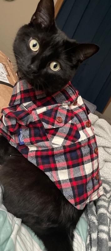 Flannel shirt for clearance cat