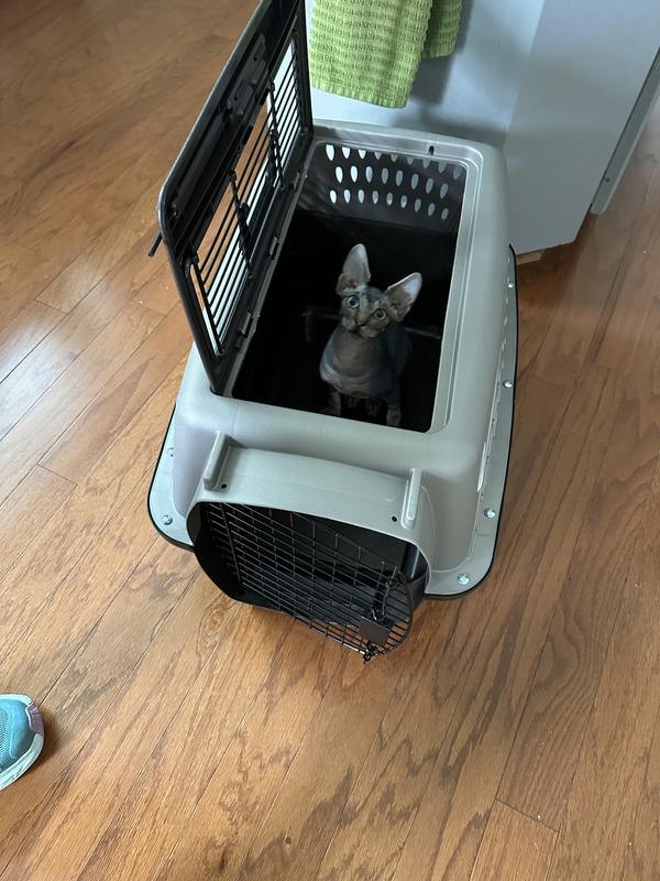 ミーパ　ワイルドプラネット&ブループラネット2個セット Petmate Two Door Top Load Dog & Cat Kennel (Free Shipping) | Chewy