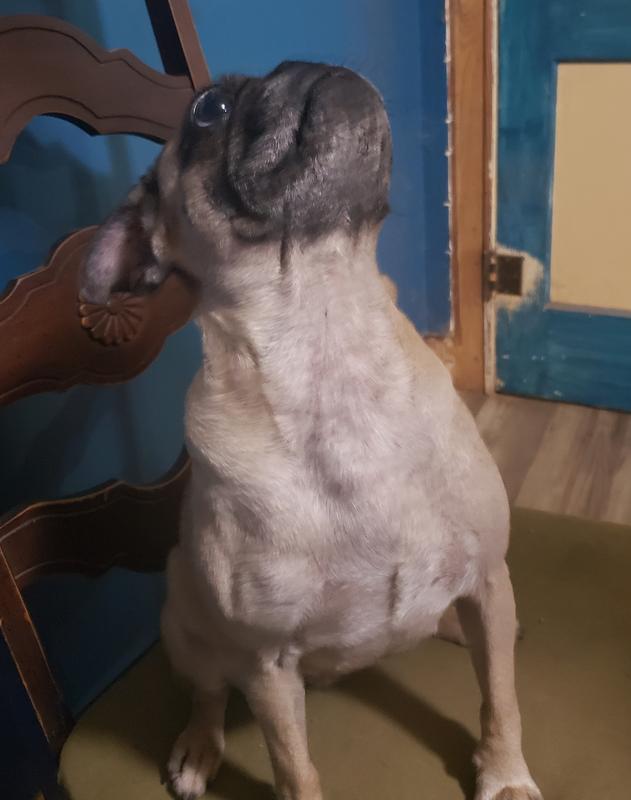 After giving her the supplement