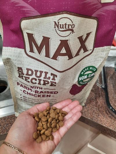 Nutro max outlet chicken dog food