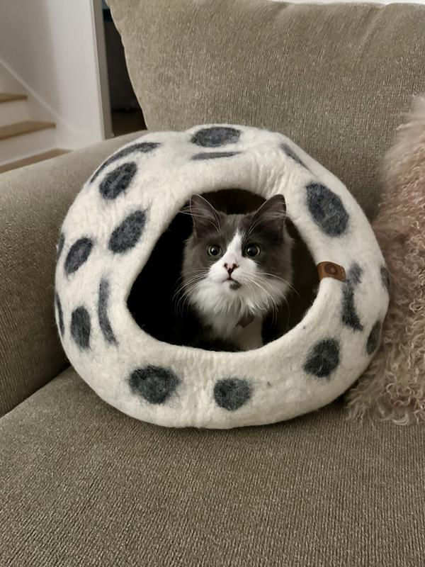 Suki having her turn with the cave