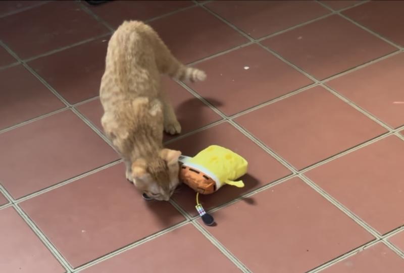 Let's grab this leg.....