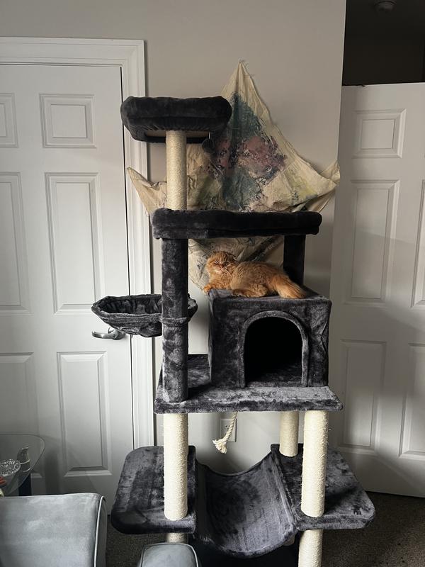 FRISCO 73-in Cat Tree with Hammock, Condo, Lounge Basket, Top Perch ...