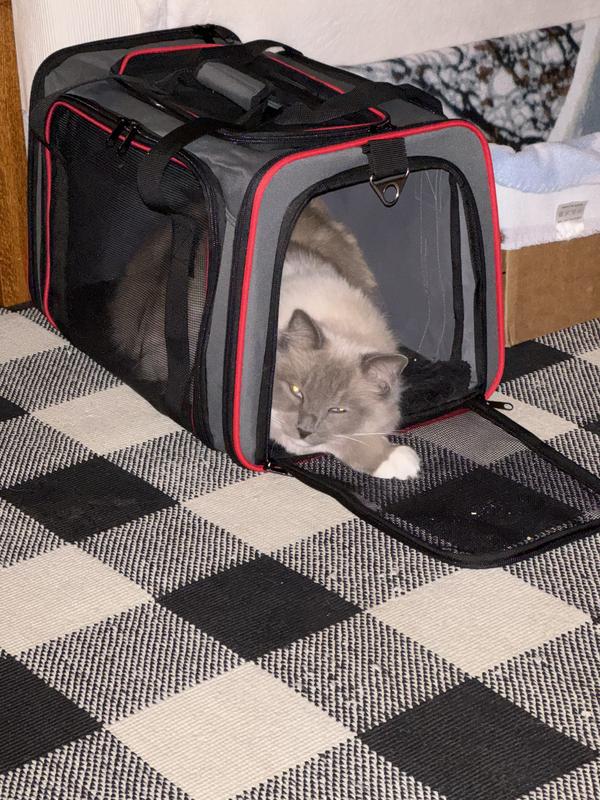 JESPET SoftSided AirlineApproved Travel Dog & Cat Carrier, Gray/Red