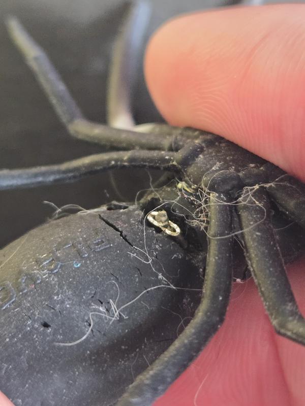 Dangerous metal piece inside