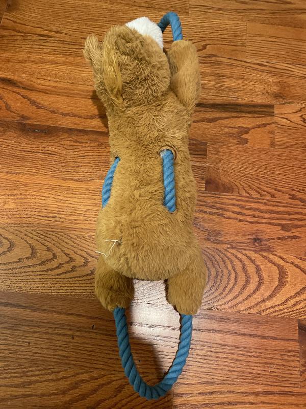 With the missing tail