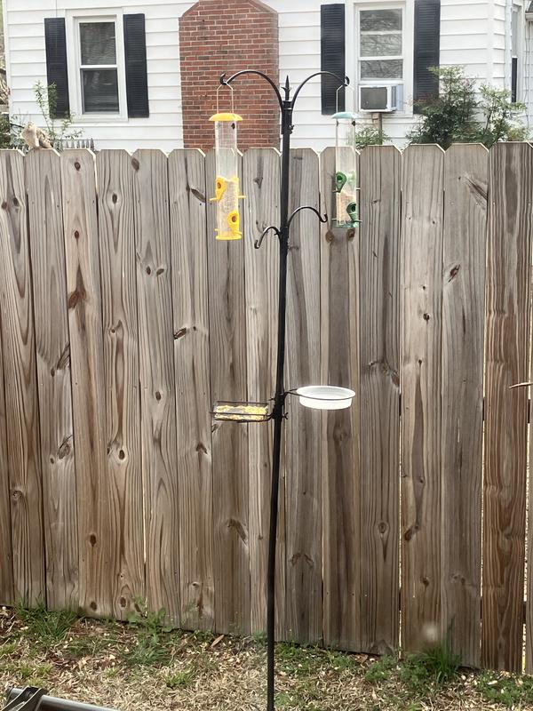 Bonus bird feeders