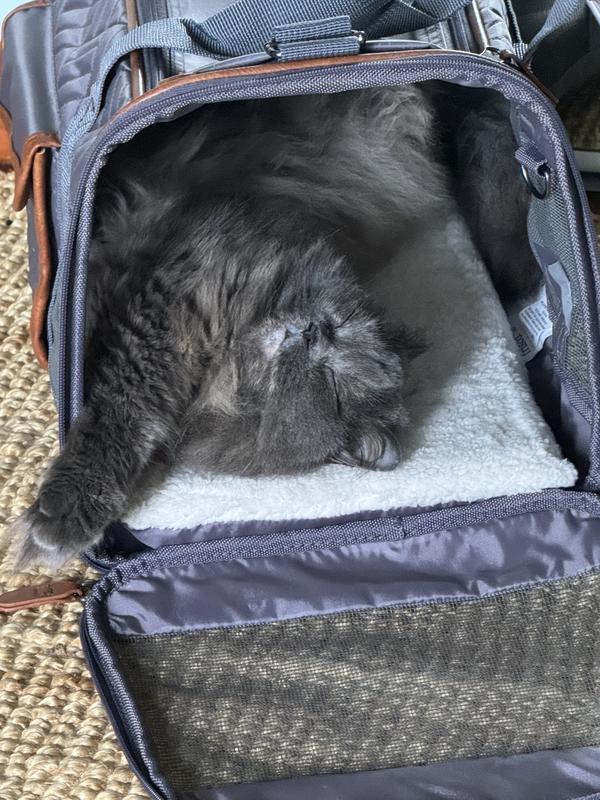 FRISCO Premium Airline Compliant Dog & Cat Quilted Carrier Bag, Gray, Large