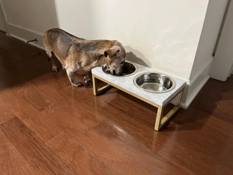 Garno Dog Food Bowls，24OZ Dog Bowl for Medium-Sized Dogs