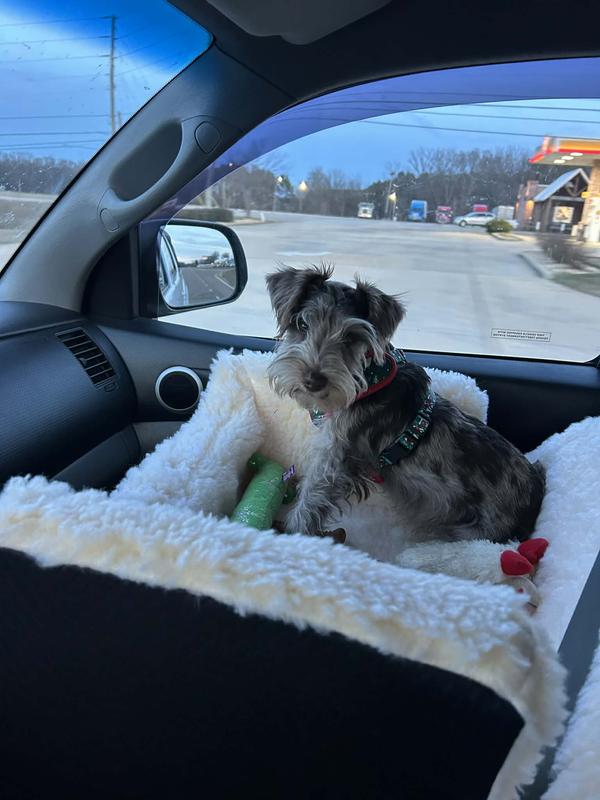 My boy loves his new car seat!!!