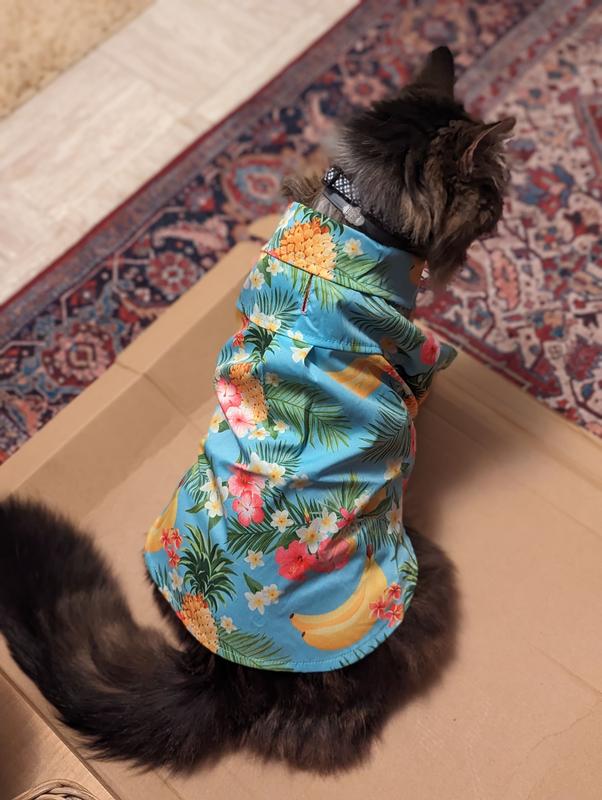 FRISCO Pineapple Hawaiian Camp Dog Cat Shirt X Small Chewy